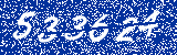Capcha image